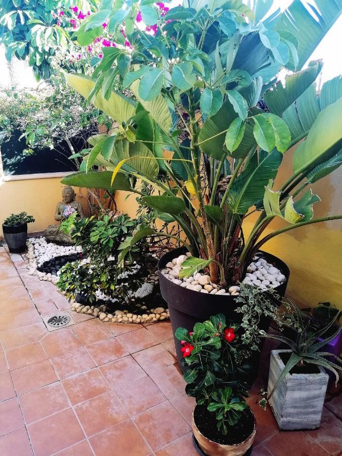 Vivienda Vacacional Vaiana Las Rosas  Eksteriør bilde